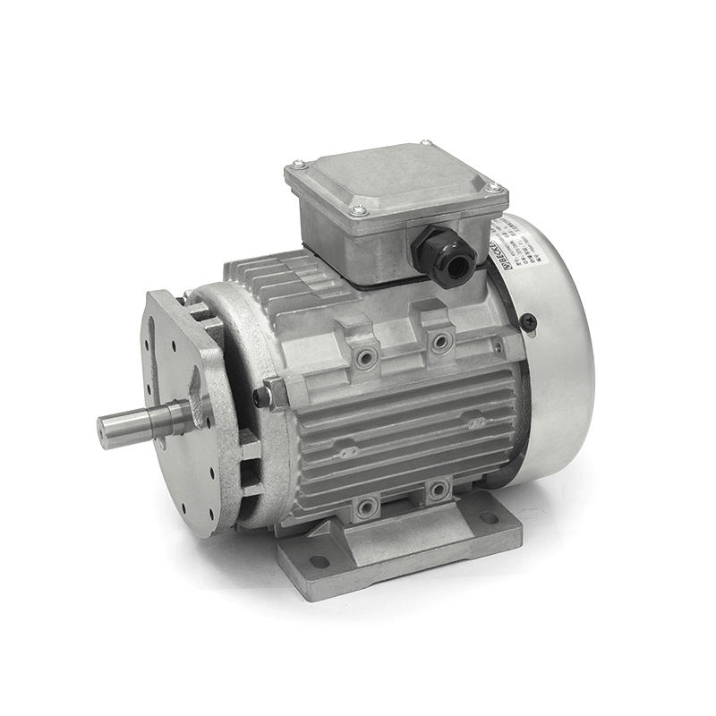 250/300W 50/60HZ Single-phase induction motor for pump