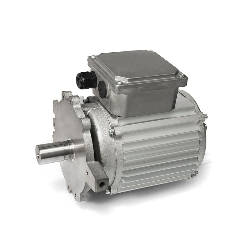 50/60HZ Pump three-phase asynchronous motor with junction box